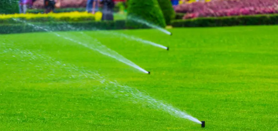 Watering with irrigation system in a beautiful big landscape