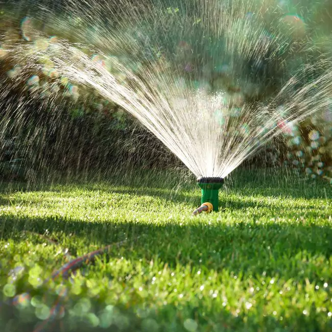 Watering with Sprinkler system in a green grass